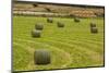 Usa, Montana. Bales, or Rounds, of hay in a field that has just been harvested.-Tom Haseltine-Mounted Photographic Print