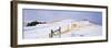 USA, Montana, farm, winter-Panoramic Images-Framed Photographic Print