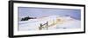 USA, Montana, farm, winter-Panoramic Images-Framed Photographic Print