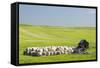USA, Montana, Fergus County, Hay bales and barn.-Jamie & Judy Wild-Framed Stretched Canvas