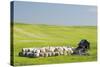 USA, Montana, Fergus County, Hay bales and barn.-Jamie & Judy Wild-Stretched Canvas