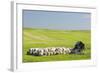 USA, Montana, Fergus County, Hay bales and barn.-Jamie & Judy Wild-Framed Photographic Print