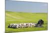 USA, Montana, Fergus County, Hay bales and barn.-Jamie & Judy Wild-Mounted Photographic Print