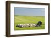 USA, Montana, Fergus County, Hay bales and barn.-Jamie & Judy Wild-Framed Photographic Print