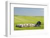 USA, Montana, Fergus County, Hay bales and barn.-Jamie & Judy Wild-Framed Photographic Print