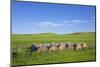 USA, Montana, Fergus County, Hay bales.-Jamie & Judy Wild-Mounted Photographic Print