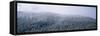 USA, Montana, Gallatin National Forest, winter-Panoramic Images-Framed Stretched Canvas
