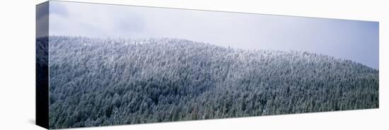 USA, Montana, Gallatin National Forest, winter-Panoramic Images-Stretched Canvas