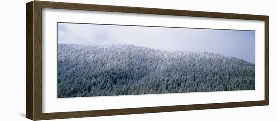 USA, Montana, Gallatin National Forest, winter-Panoramic Images-Framed Photographic Print