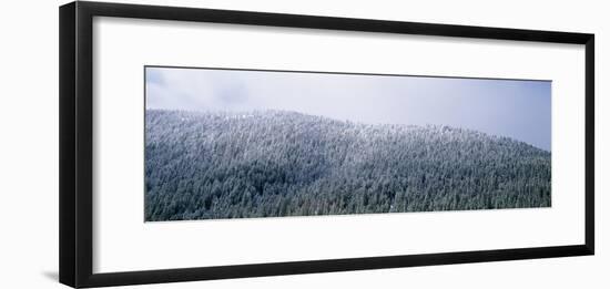 USA, Montana, Gallatin National Forest, winter-Panoramic Images-Framed Photographic Print