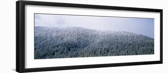 USA, Montana, Gallatin National Forest, winter-Panoramic Images-Framed Photographic Print