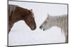 USA, Montana. Gardiner. Palomino and sorrel, with shaggy winter coat, nose to nose.-Cindy Miller Hopkins-Mounted Photographic Print