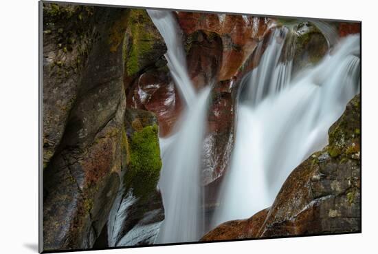 USA, Montana, Glacier National Park. Avalanche Creek Falls-Rona Schwarz-Mounted Photographic Print