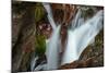 USA, Montana, Glacier National Park. Avalanche Creek Falls-Rona Schwarz-Mounted Photographic Print