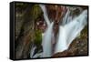 USA, Montana, Glacier National Park. Avalanche Creek Falls-Rona Schwarz-Framed Stretched Canvas