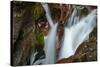 USA, Montana, Glacier National Park. Avalanche Creek Falls-Rona Schwarz-Stretched Canvas