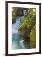 USA, Montana, Glacier National Park. Avalanche Creek scenic.-Jaynes Gallery-Framed Photographic Print