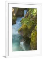 USA, Montana, Glacier National Park. Avalanche Creek scenic.-Jaynes Gallery-Framed Photographic Print