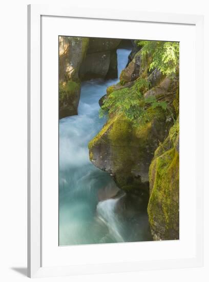 USA, Montana, Glacier National Park. Avalanche Creek scenic.-Jaynes Gallery-Framed Photographic Print