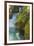 USA, Montana, Glacier National Park. Avalanche Creek scenic.-Jaynes Gallery-Framed Photographic Print