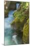 USA, Montana, Glacier National Park. Avalanche Creek scenic.-Jaynes Gallery-Mounted Photographic Print