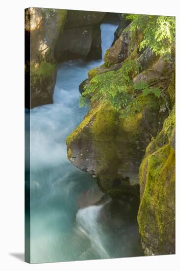 USA, Montana, Glacier National Park. Avalanche Creek scenic.-Jaynes Gallery-Stretched Canvas