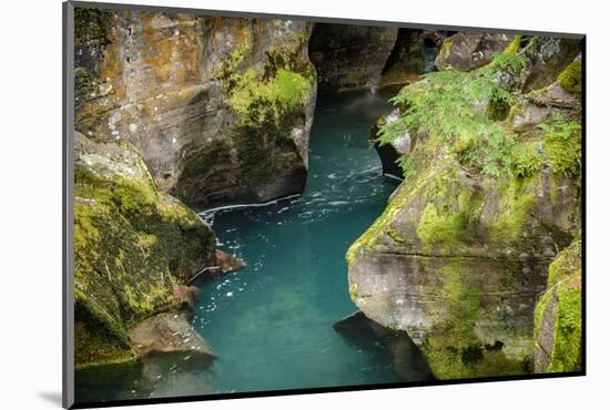 USA, Montana, Glacier National Park. Avalanche Creek-Rona Schwarz-Mounted Photographic Print