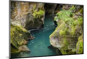 USA, Montana, Glacier National Park. Avalanche Creek-Rona Schwarz-Mounted Photographic Print