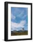 USA, Montana, Glacier National Park. Cirrus clouds above Chief Mountain.-Jaynes Gallery-Framed Photographic Print