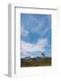 USA, Montana, Glacier National Park. Cirrus clouds above Chief Mountain.-Jaynes Gallery-Framed Photographic Print