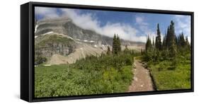 USA, Montana, Glacier National Park. Hiking trail and landscape.-Don Grall-Framed Stretched Canvas