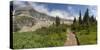 USA, Montana, Glacier National Park. Hiking trail and landscape.-Don Grall-Stretched Canvas