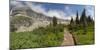 USA, Montana, Glacier National Park. Hiking trail and landscape.-Don Grall-Mounted Photographic Print