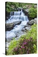 USA, Montana, Glacier National Park. Lunch Creek cascade.-Jaynes Gallery-Stretched Canvas