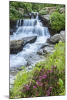 USA, Montana, Glacier National Park. Lunch Creek cascade.-Jaynes Gallery-Mounted Photographic Print