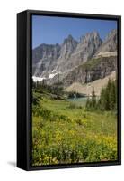 USA, Montana, Glacier National Park. Meadow above Iceberg Lake.-Don Grall-Framed Stretched Canvas