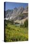 USA, Montana, Glacier National Park. Meadow above Iceberg Lake.-Don Grall-Stretched Canvas