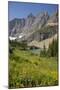 USA, Montana, Glacier National Park. Meadow above Iceberg Lake.-Don Grall-Mounted Photographic Print