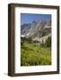 USA, Montana, Glacier National Park. Meadow above Iceberg Lake.-Don Grall-Framed Photographic Print