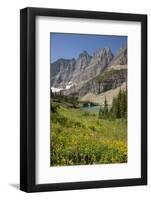 USA, Montana, Glacier National Park. Meadow above Iceberg Lake.-Don Grall-Framed Photographic Print