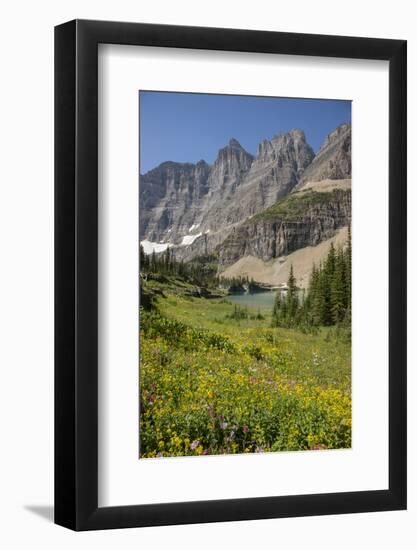 USA, Montana, Glacier National Park. Meadow above Iceberg Lake.-Don Grall-Framed Photographic Print