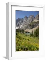 USA, Montana, Glacier National Park. Meadow above Iceberg Lake.-Don Grall-Framed Photographic Print