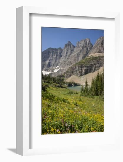 USA, Montana, Glacier National Park. Meadow above Iceberg Lake.-Don Grall-Framed Photographic Print
