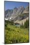 USA, Montana, Glacier National Park. Meadow above Iceberg Lake.-Don Grall-Mounted Photographic Print