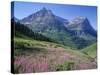 USA, Montana, Glacier National Park, Mount Oberlin and Mount Cannon Rise Beyond Meadow of Fireweed-John Barger-Stretched Canvas