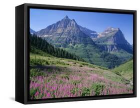 USA, Montana, Glacier National Park, Mount Oberlin and Mount Cannon Rise Beyond Meadow of Fireweed-John Barger-Framed Stretched Canvas