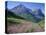 USA, Montana, Glacier National Park, Mount Oberlin and Mount Cannon Rise Beyond Meadow of Fireweed-John Barger-Stretched Canvas