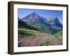 USA, Montana, Glacier National Park, Mount Oberlin and Mount Cannon Rise Beyond Meadow of Fireweed-John Barger-Framed Photographic Print