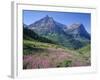 USA, Montana, Glacier National Park, Mount Oberlin and Mount Cannon Rise Beyond Meadow of Fireweed-John Barger-Framed Photographic Print