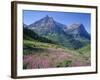 USA, Montana, Glacier National Park, Mount Oberlin and Mount Cannon Rise Beyond Meadow of Fireweed-John Barger-Framed Photographic Print